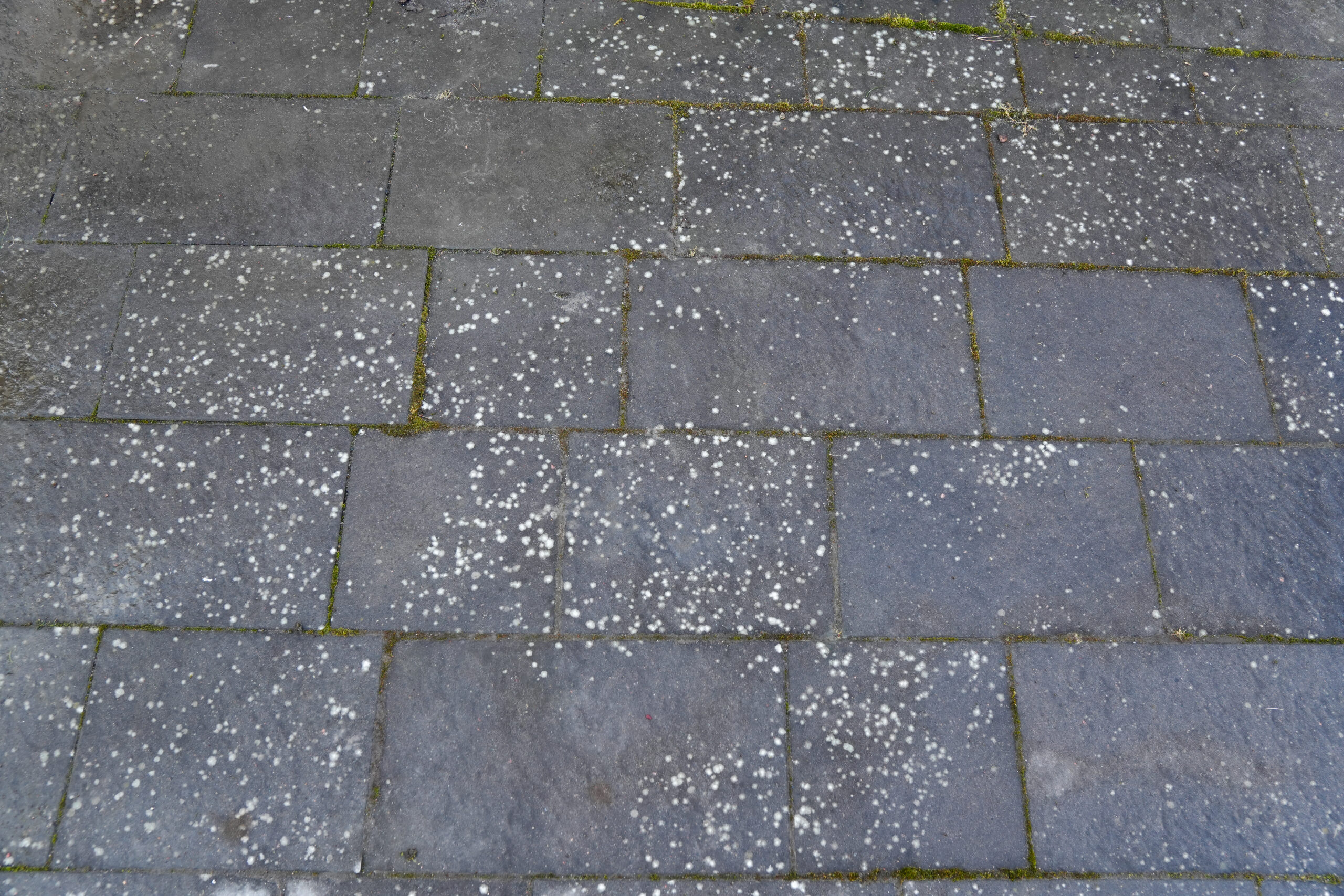 Before image